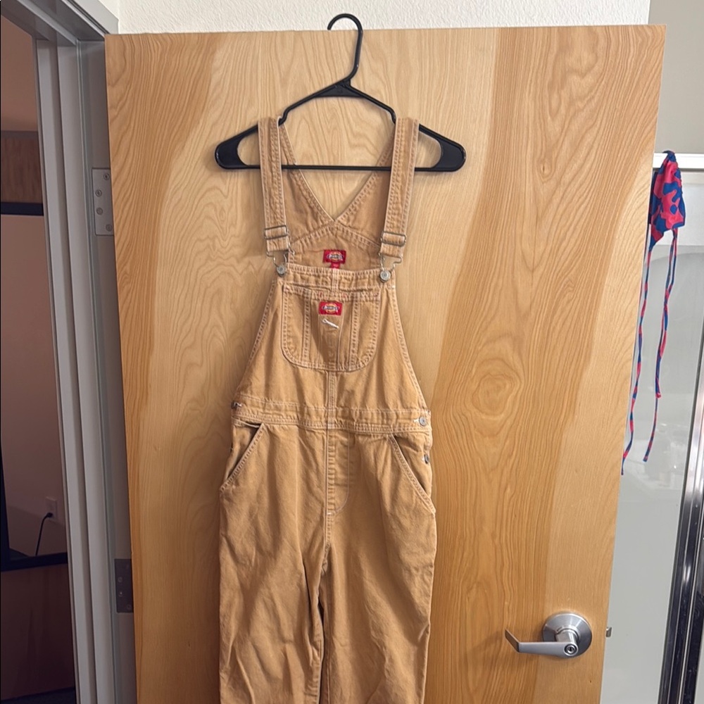 Dickies Overalls Unisex! Lightly worn!